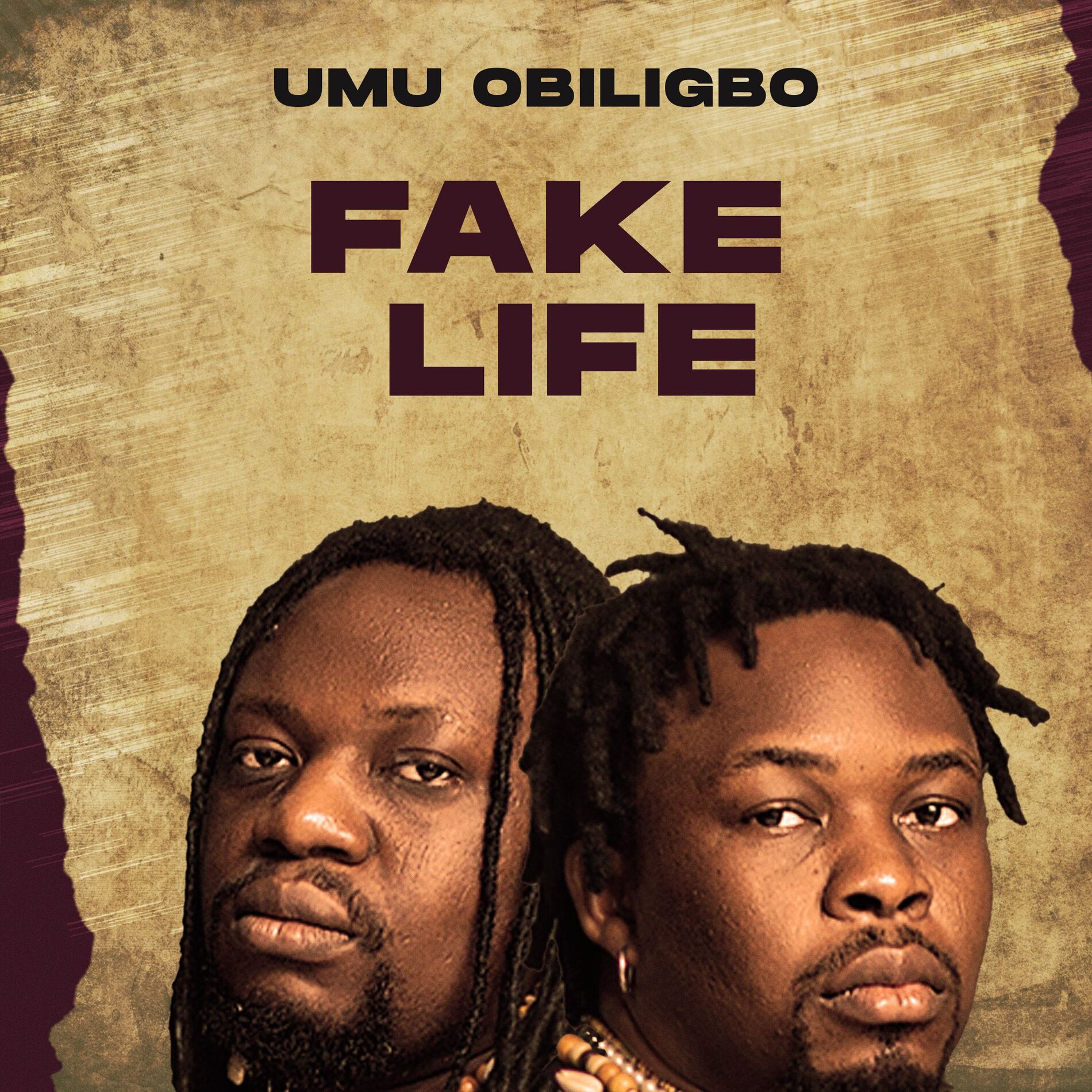 Album cover of Fake Life