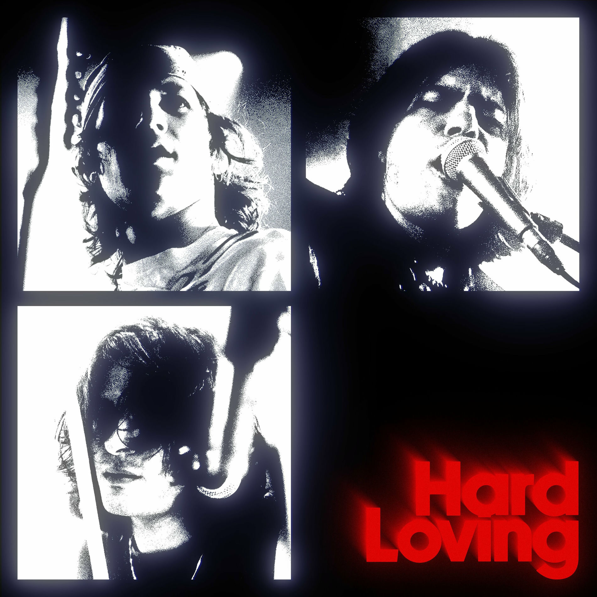 Album cover of Hard Loving