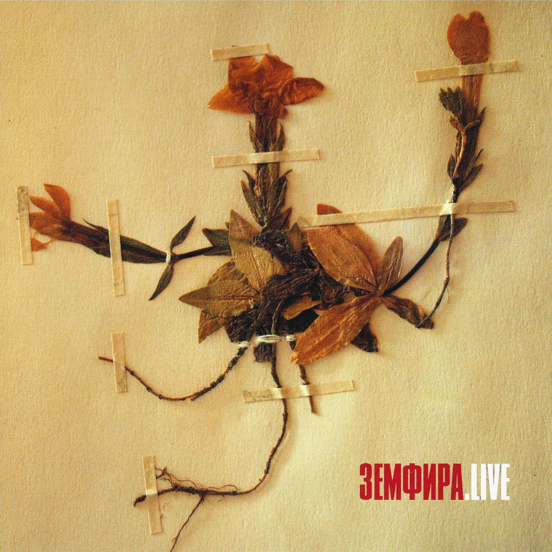 Album cover of ЗЕМФИРА.LIVE