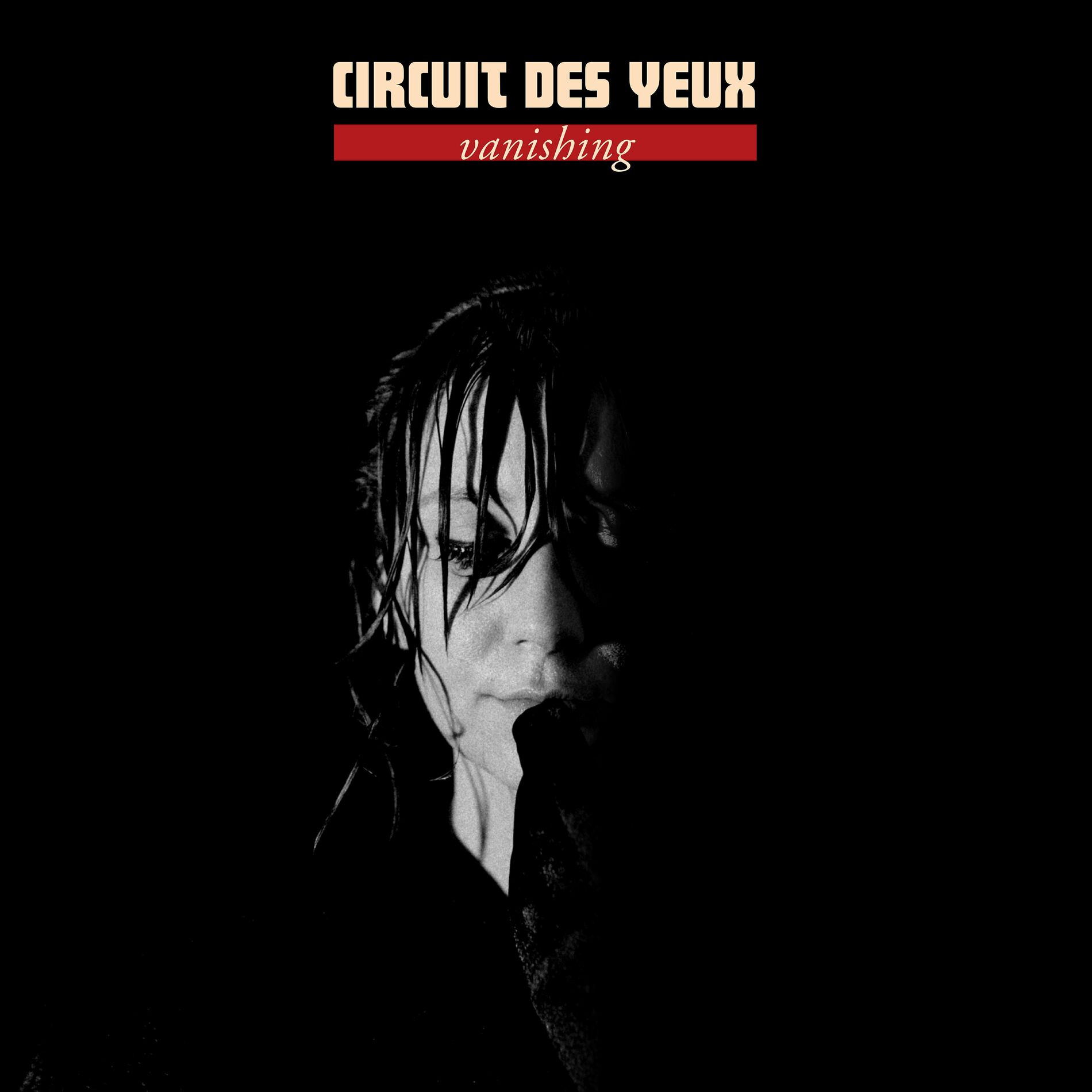 Album cover of Vanishing