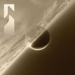 Cover of Distant Echoes