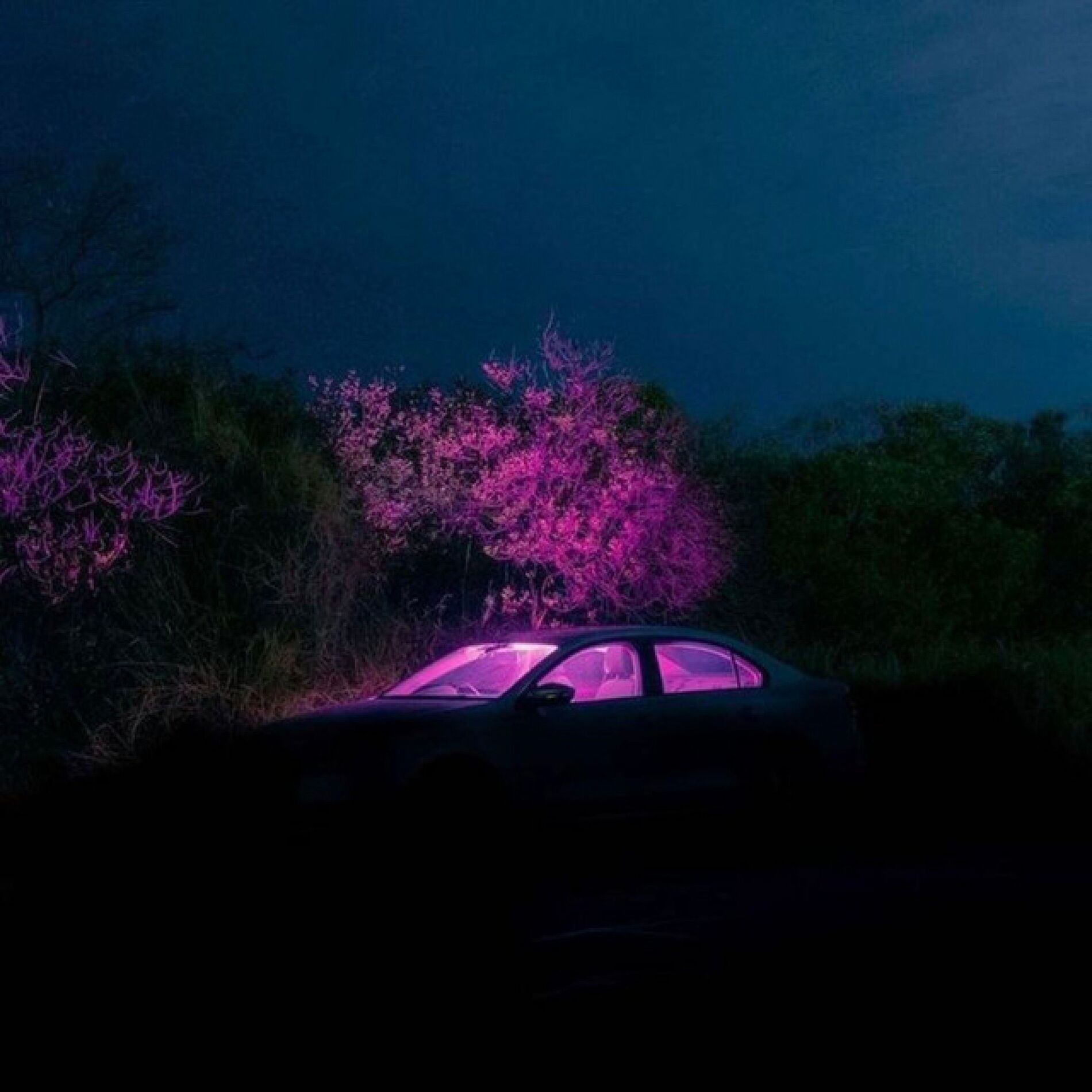 Album cover of Perfect (Slowed)