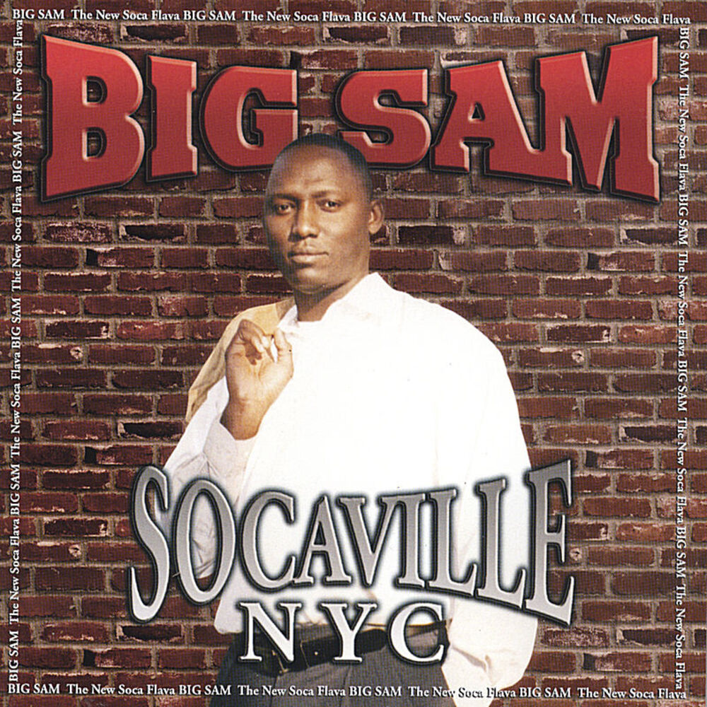 Picture of Socaville NYC