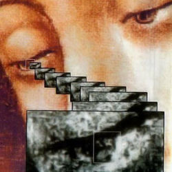 Capa de The Mold