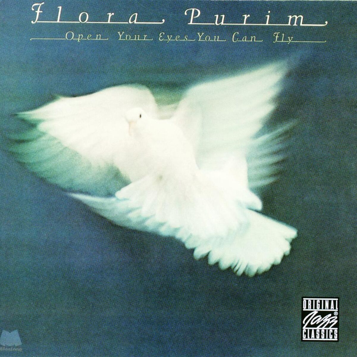 Album cover of Open Your Eyes You Can Fly