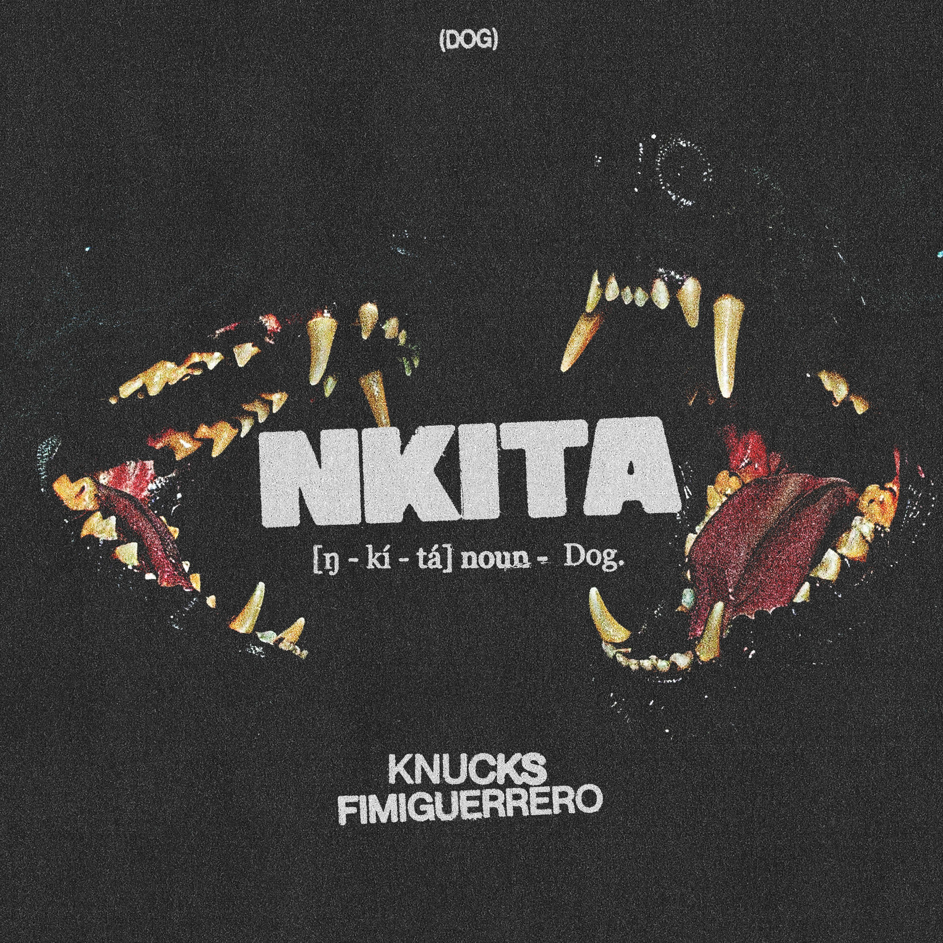Album cover of NKITA (feat. Fimiguerrero)