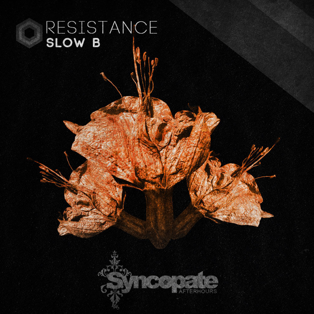 Picture of Resistance