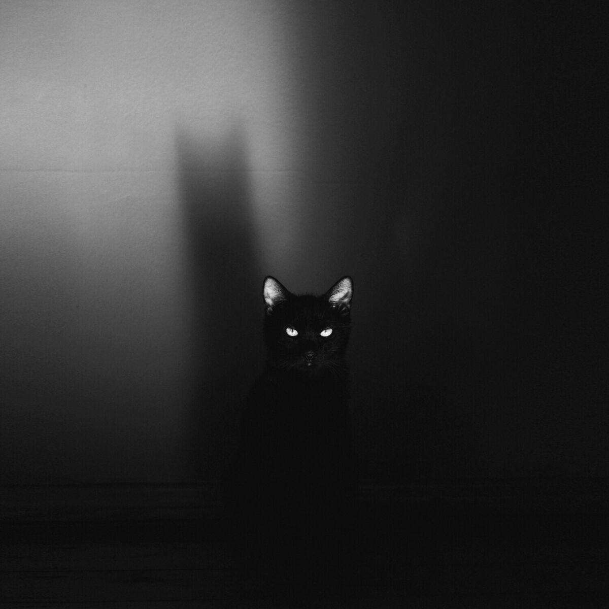 Album cover of The Phoenix