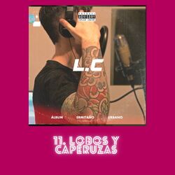 Cover of Lobos y Caperuzas