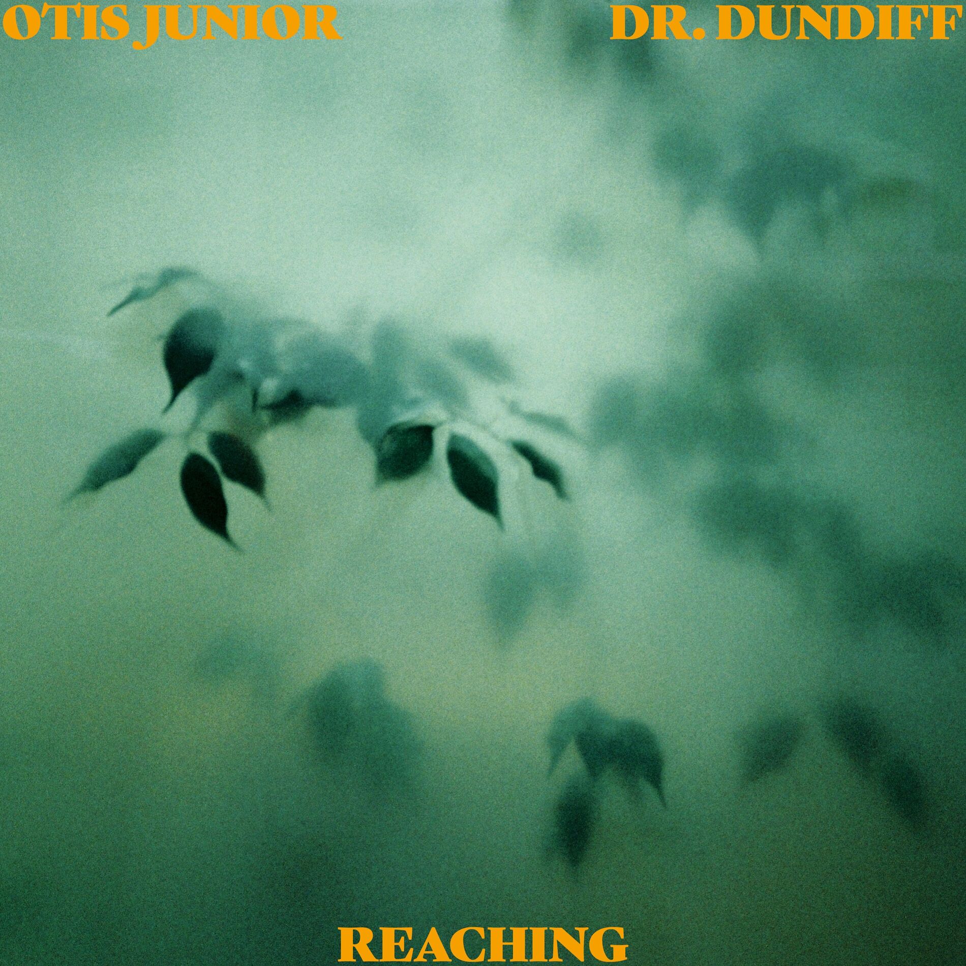 Album cover of Reaching