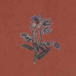 Cover of De la friche