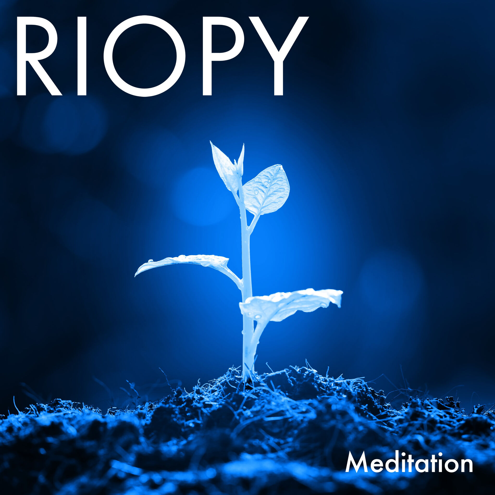 Album cover of Meditation