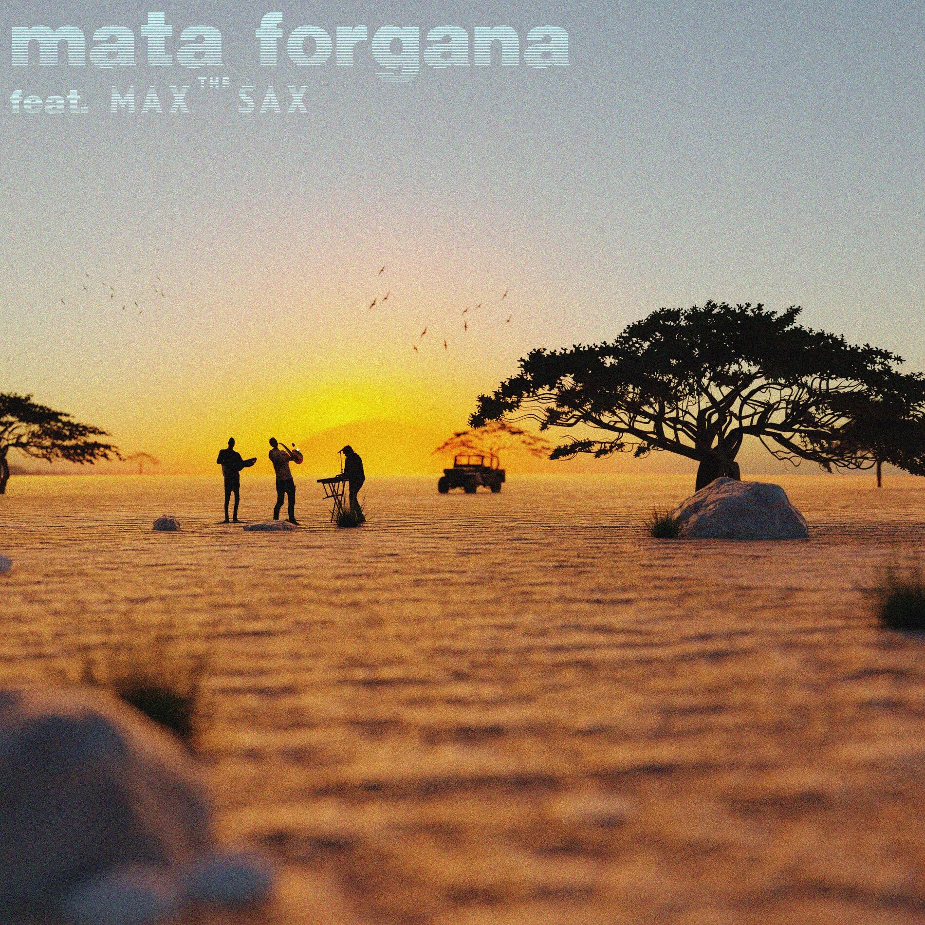 Album cover of Mata Forgana