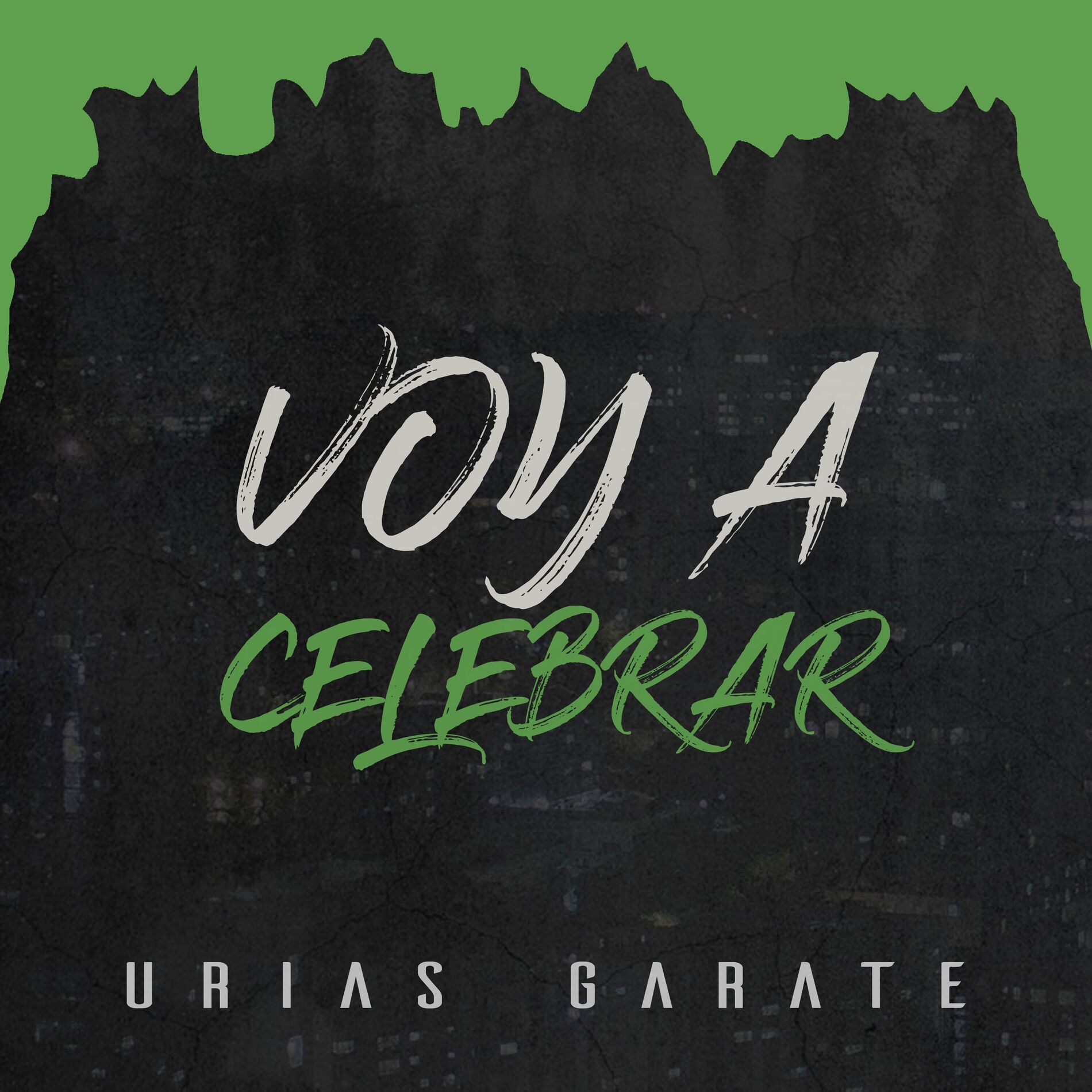 Album cover of Voy a Celebrar