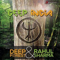 Cover of Deep India