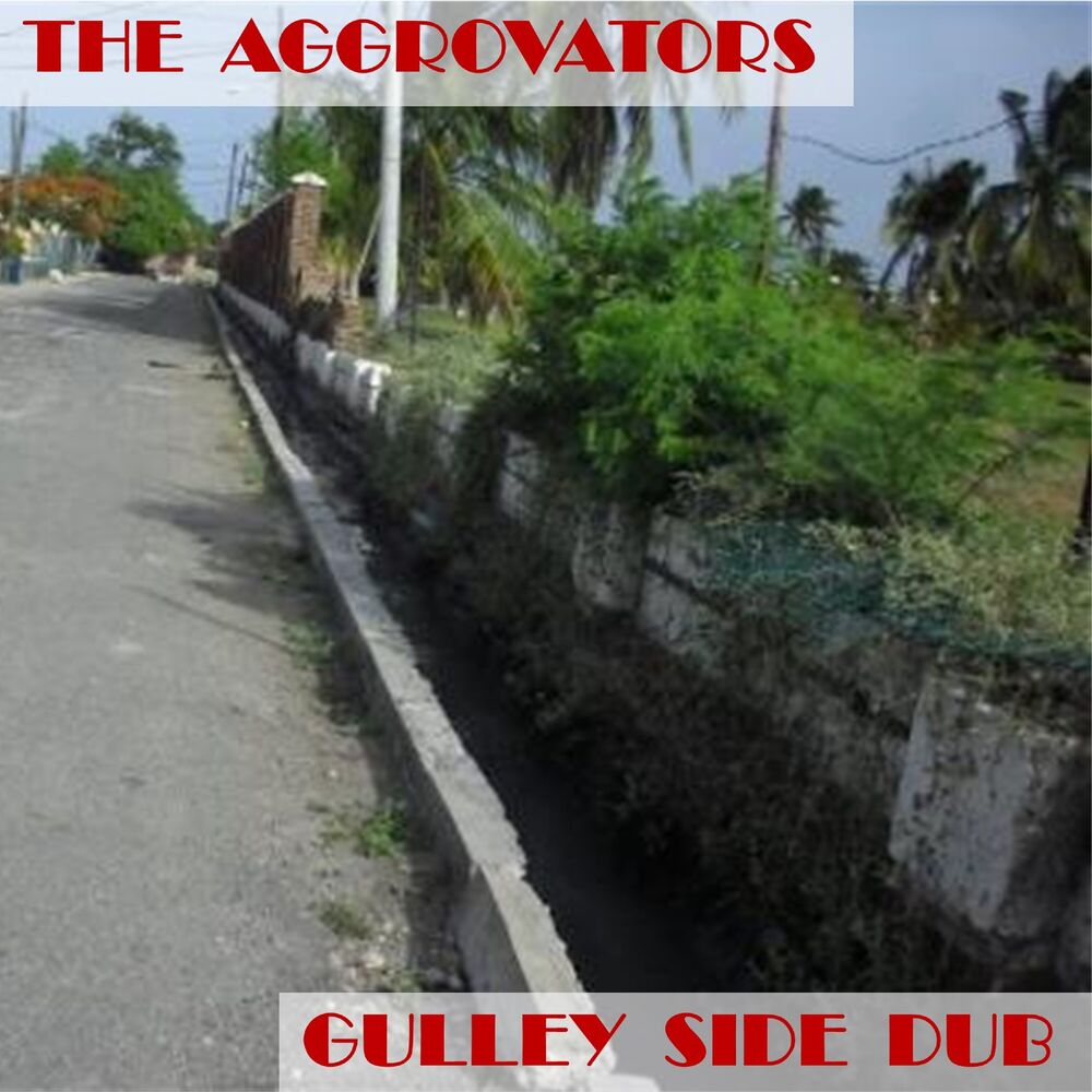Picture of Gulley Side Dub