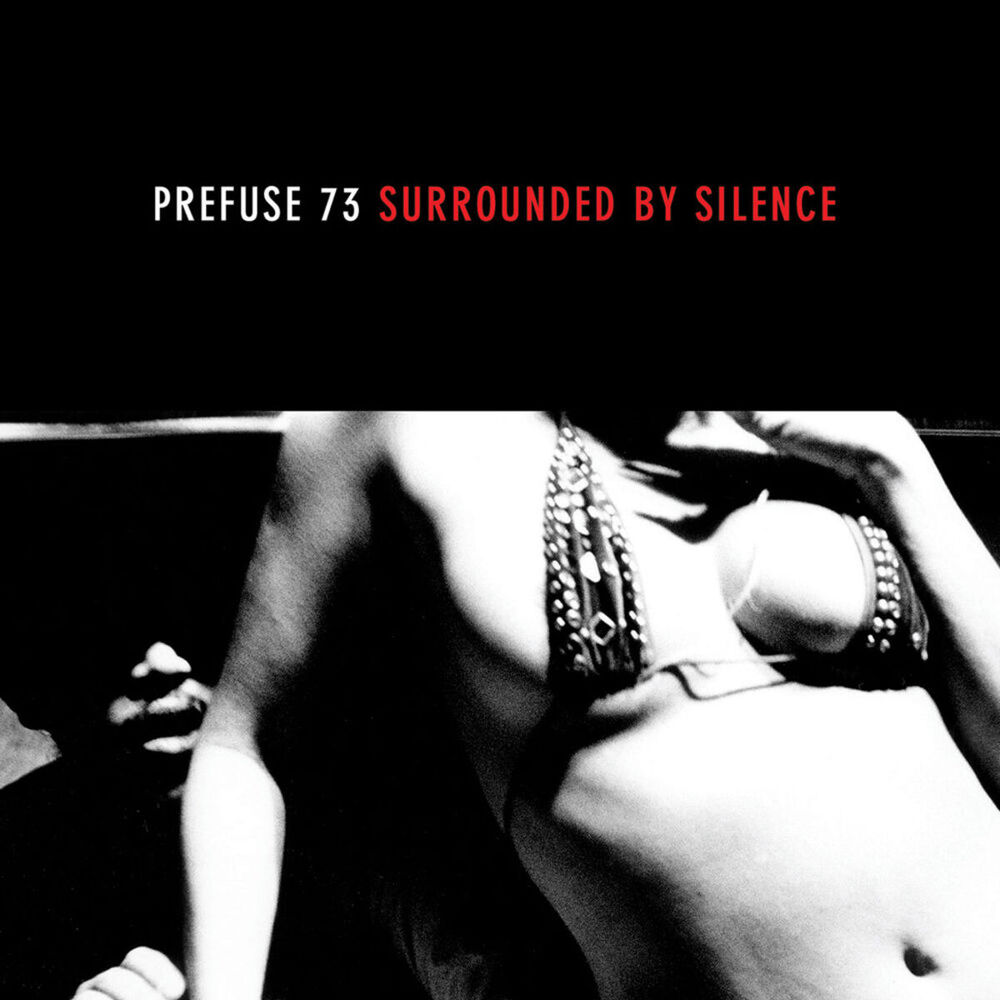 Picture of Surrounded By Silence