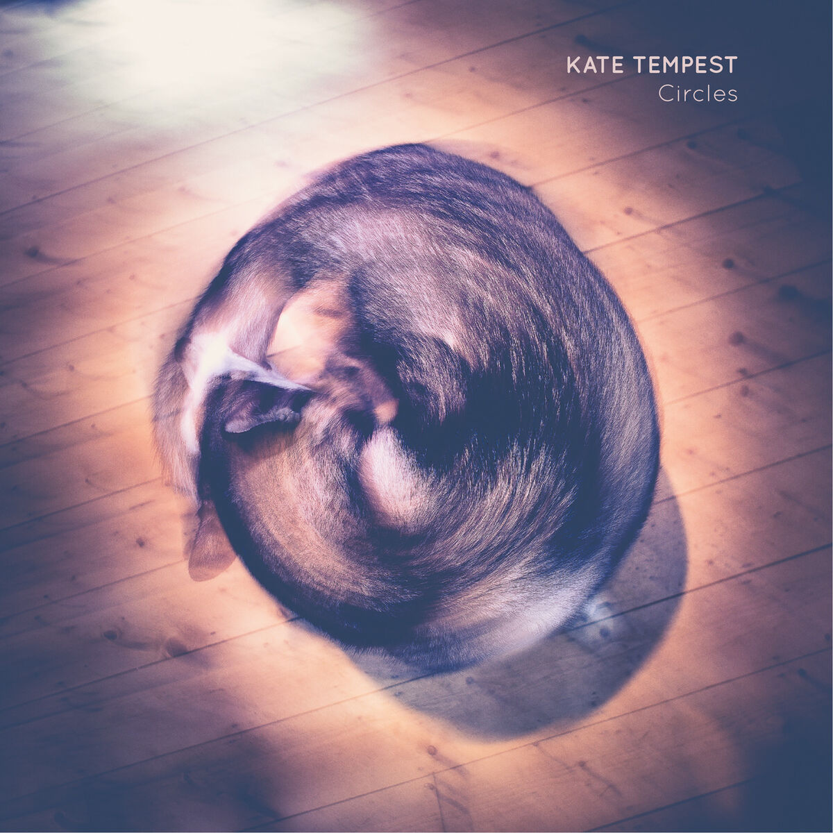 Album cover of Circles