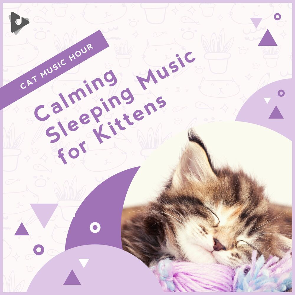 Picture of Calming Sleeping Music for Kittens
