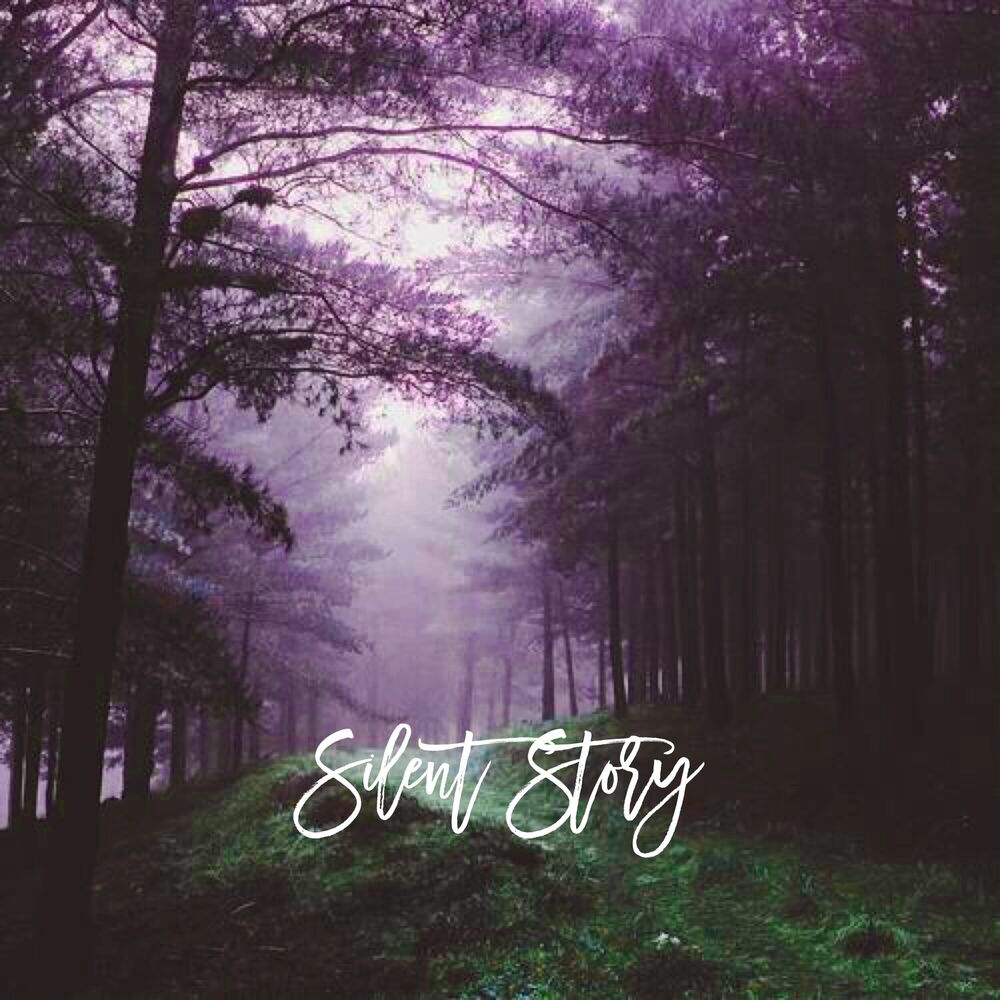 Picture of Silent Story