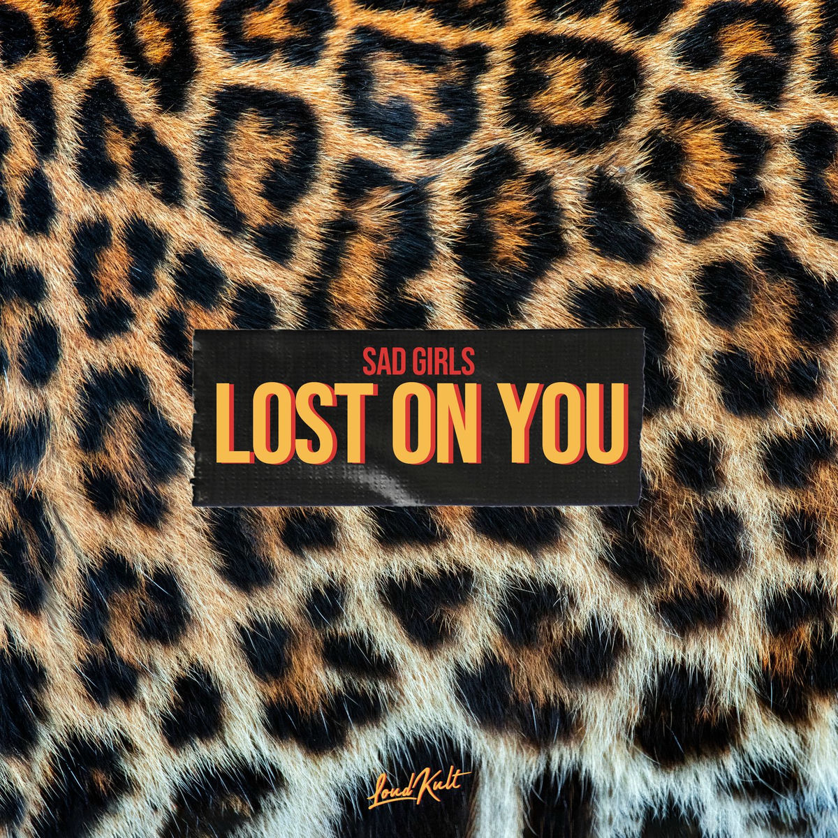 Album cover of Lost on You