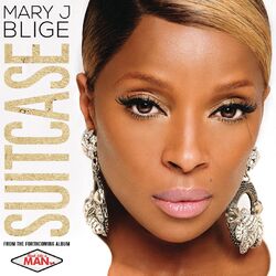 Cover of Suitcase