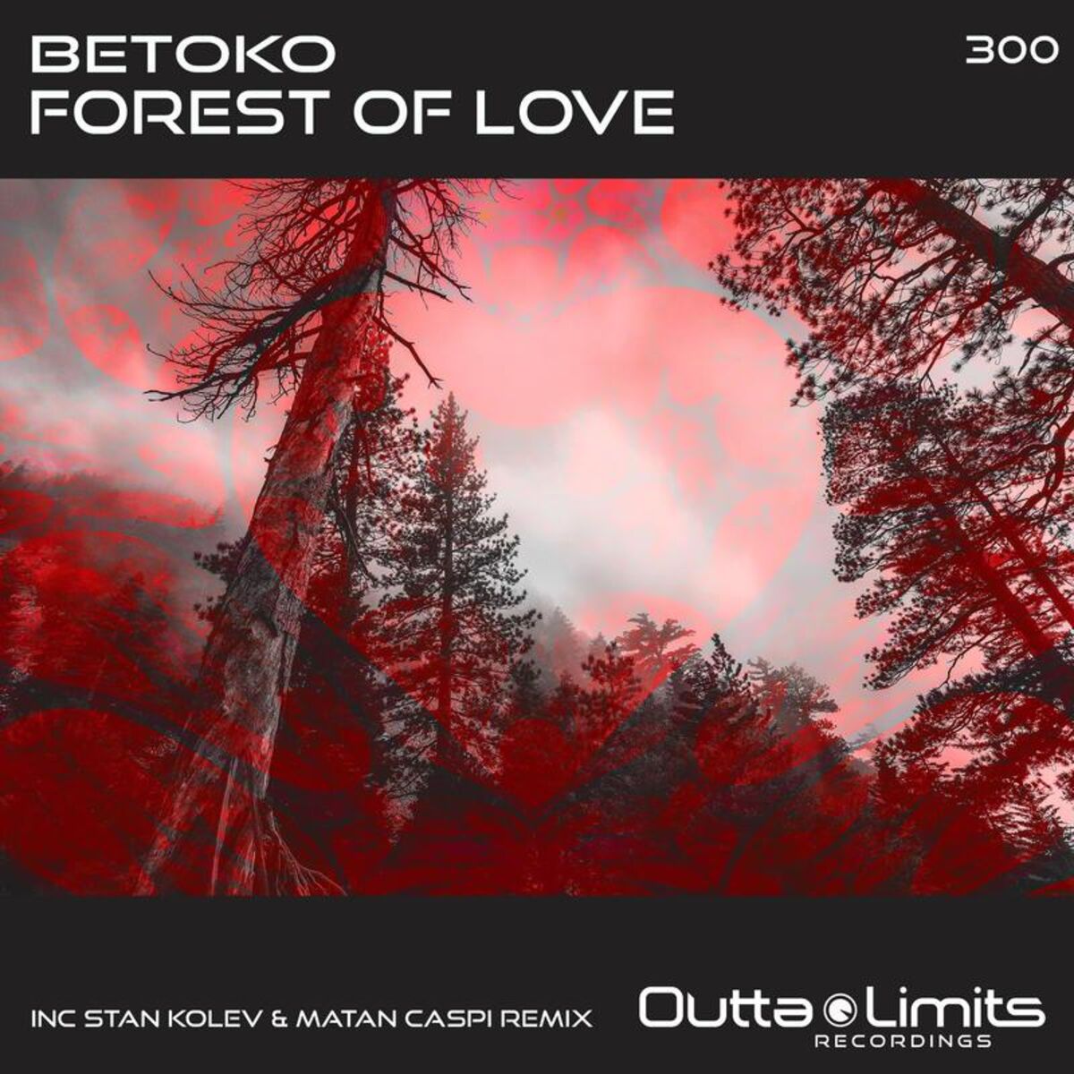 Album cover of Forest of Love