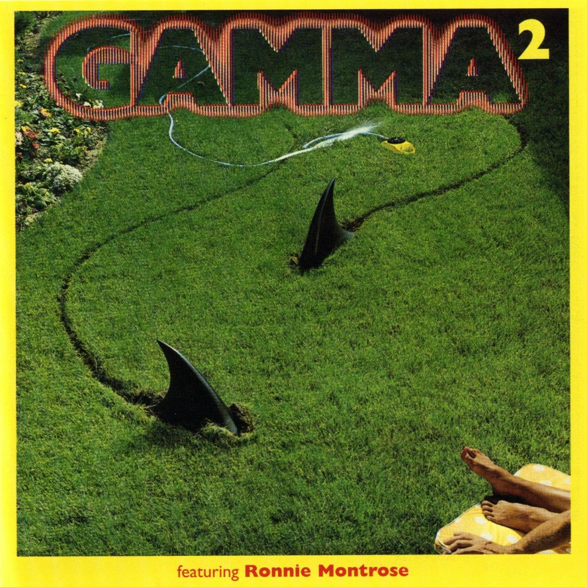 Album cover of Gamma 2
