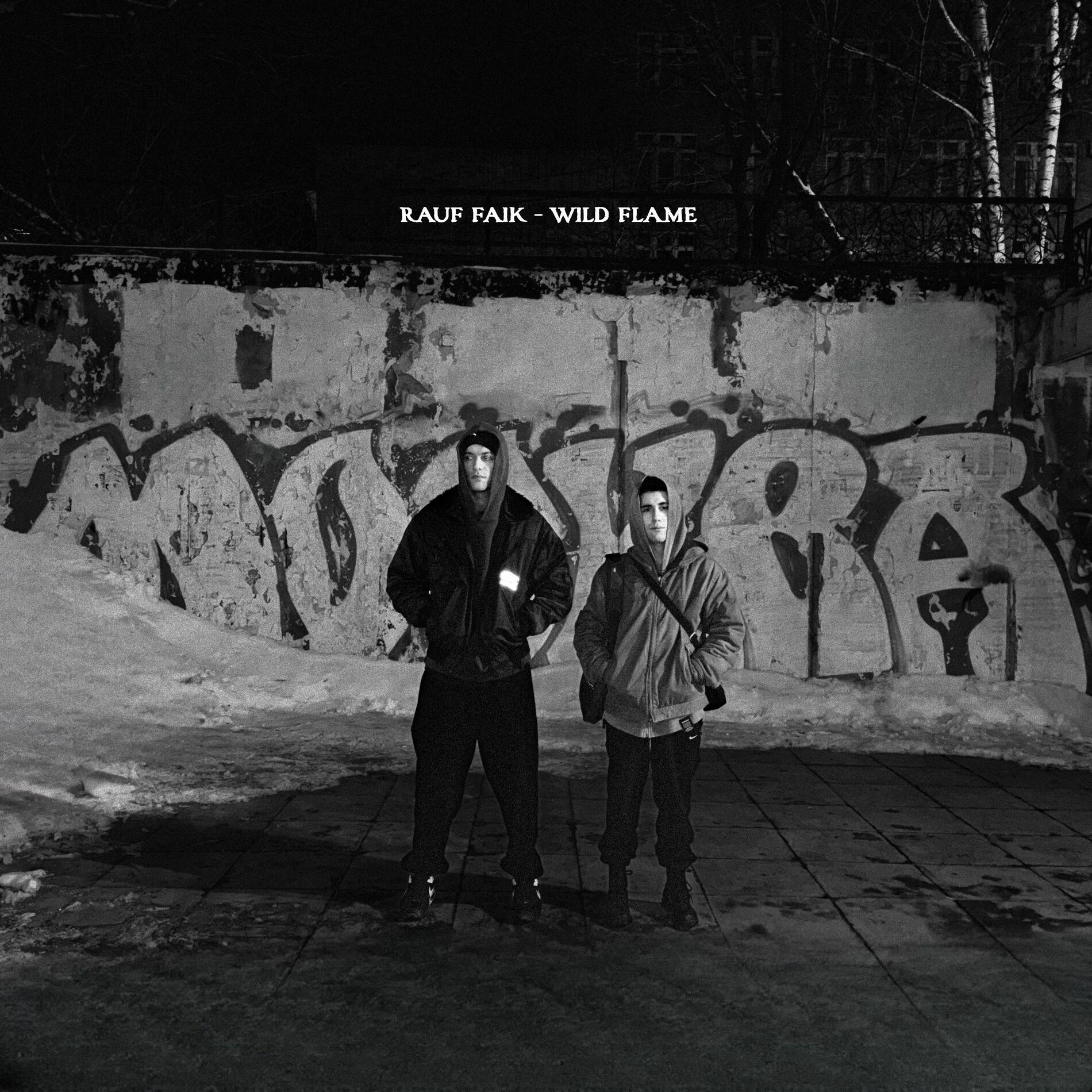 Album cover of Wild flame