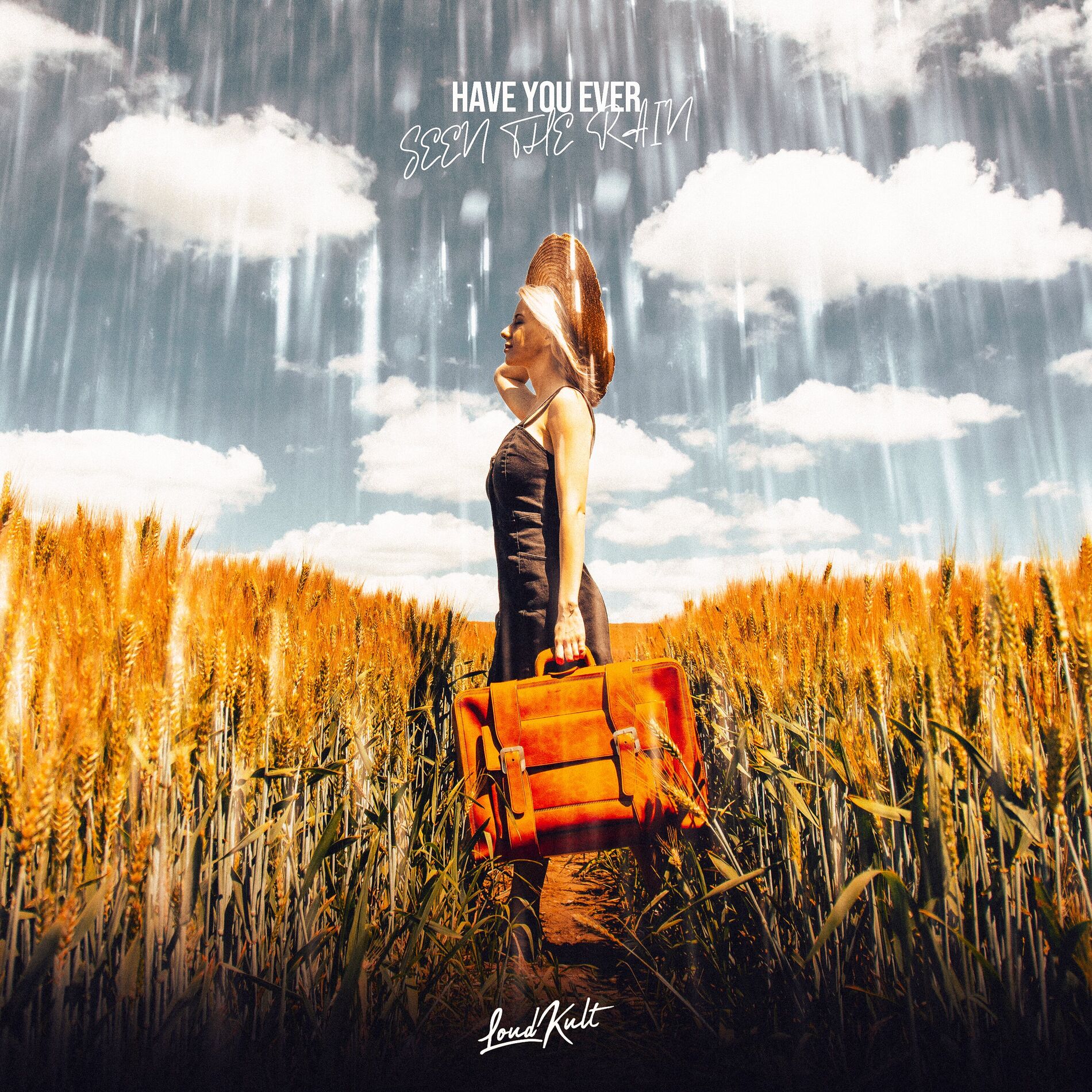 Album cover of Have You Ever Seen the Rain