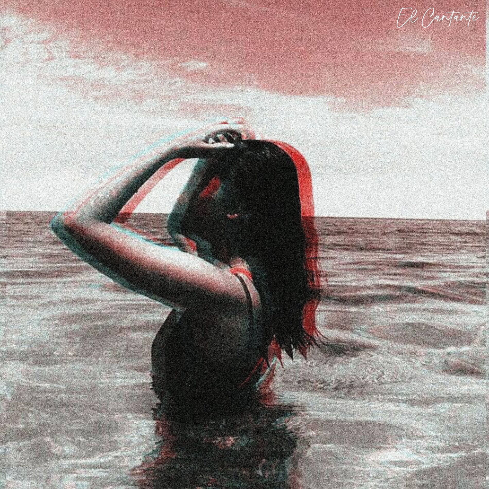 Album cover of El Cantante