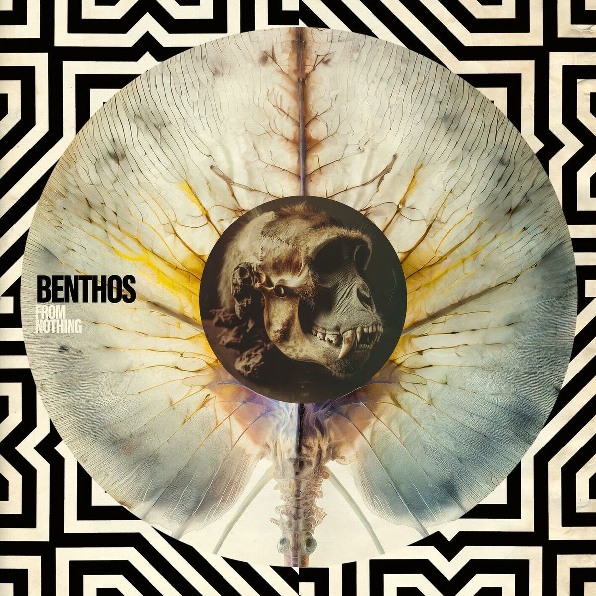 Album cover of Let Me Plunge