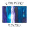 In My Place (Guitar Instrumental) by Sam Pedro album cover