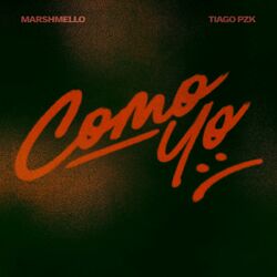 Cover of Como Yo :(