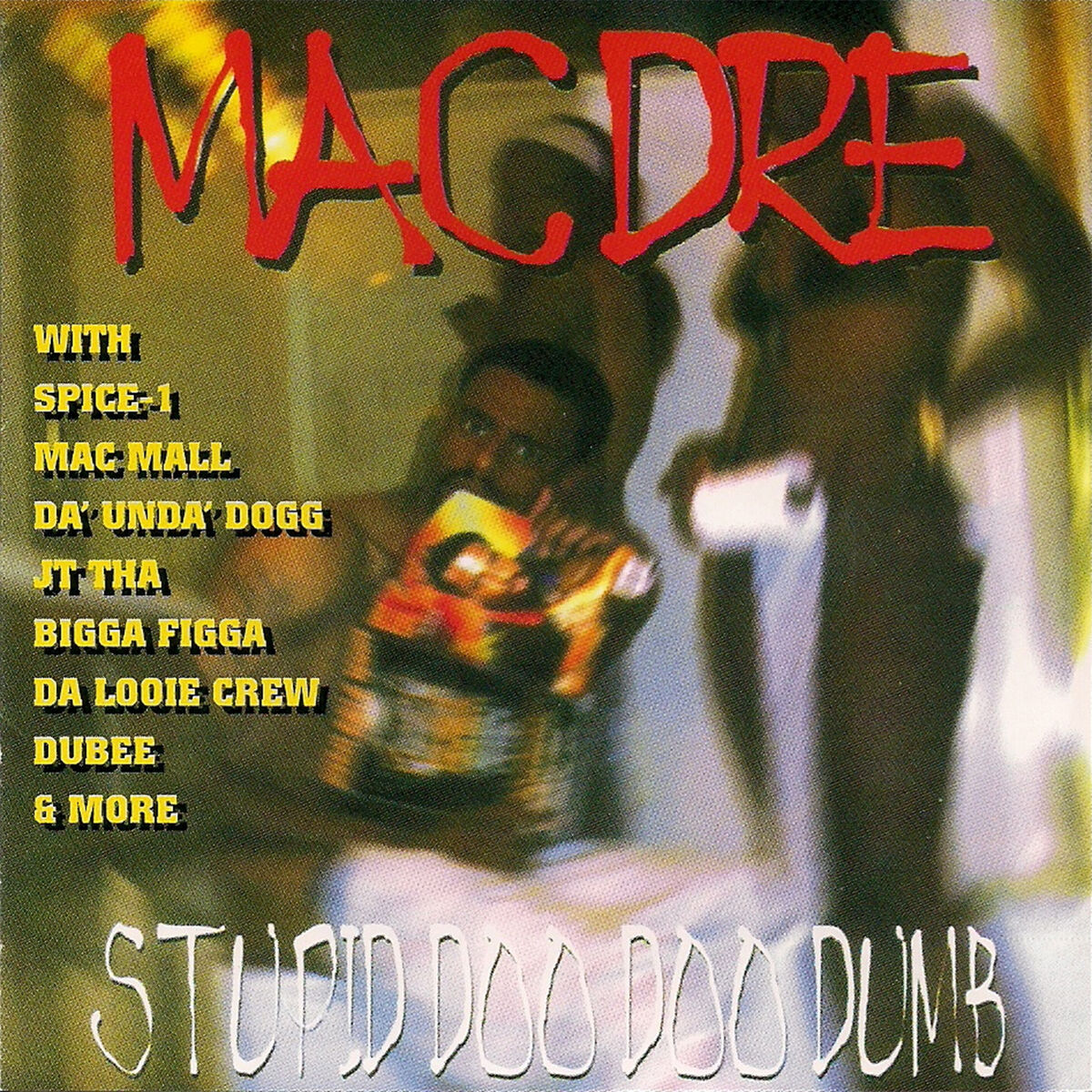 Album cover of Stupid Doo Doo Dumb