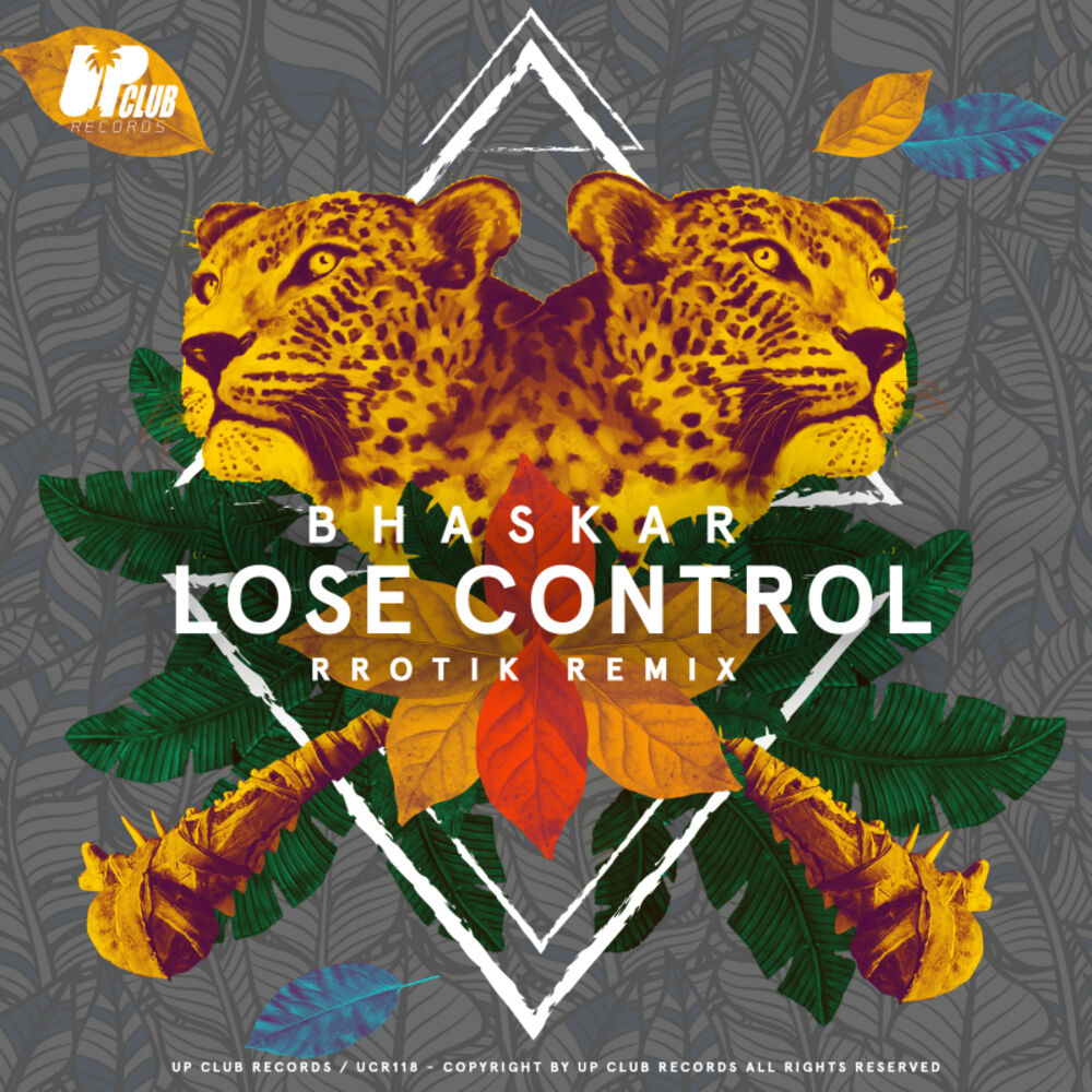 Picture of Lose Control (rrotik Remix)