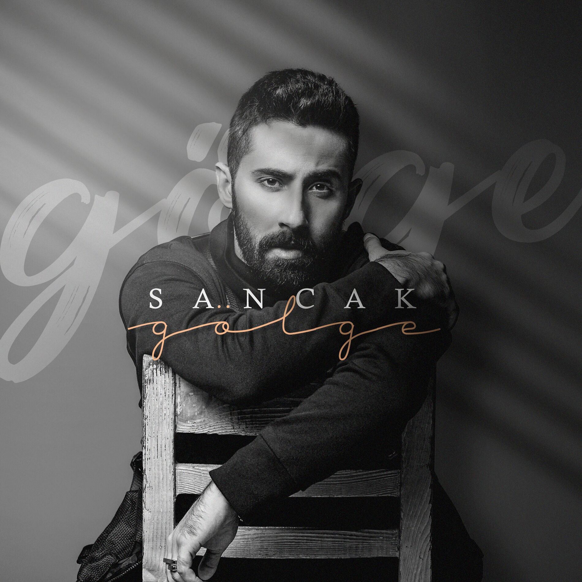 Album cover of Gölge