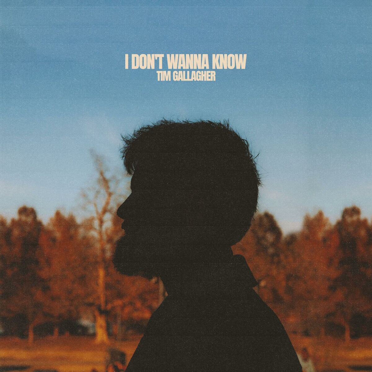 Album cover of I Don't Wanna Know