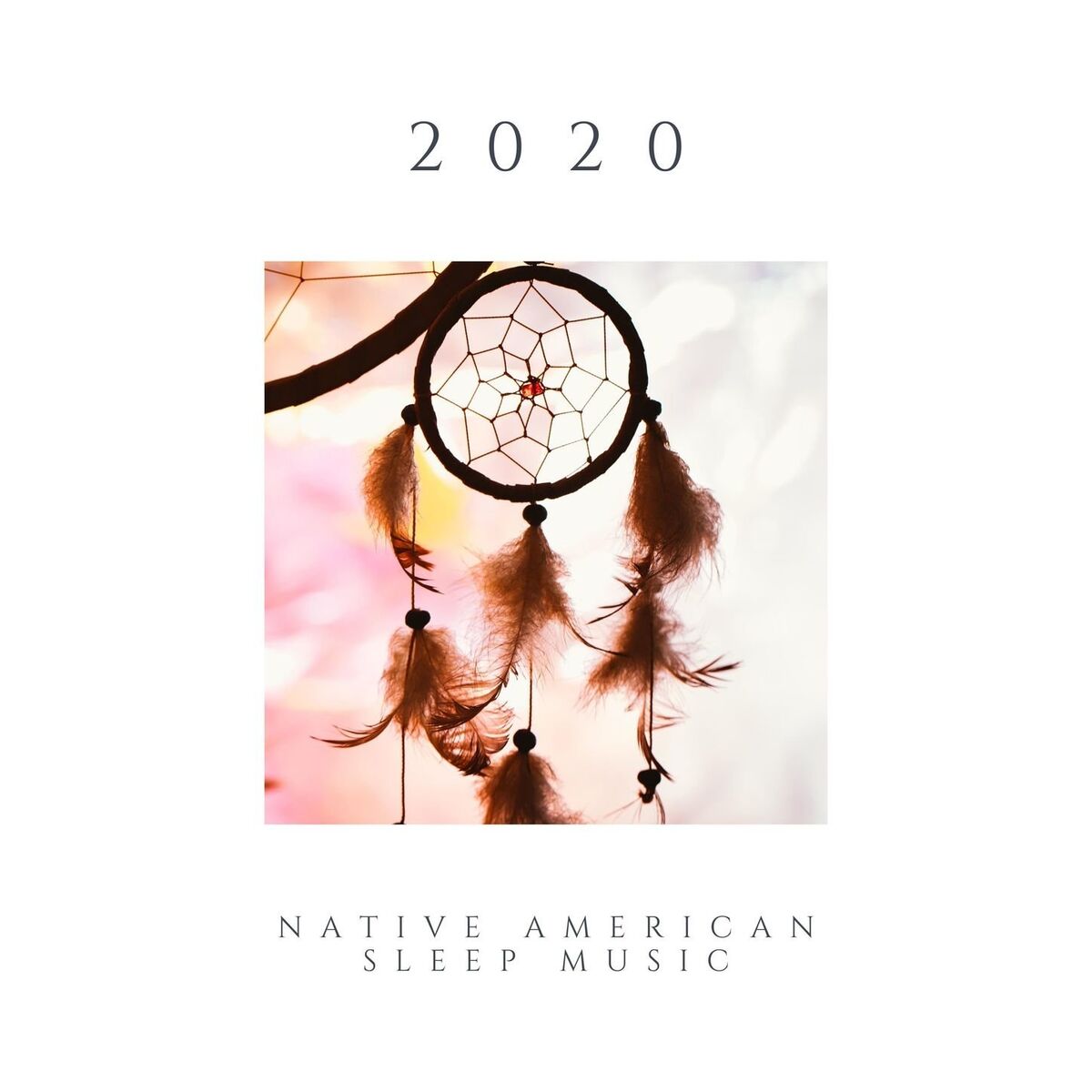 Album cover of 2020 Native American Sleep Music: Shamanic Sleeping Songs for Astral Journeys