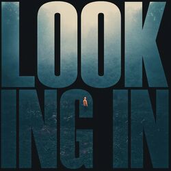 Cover of Looking In