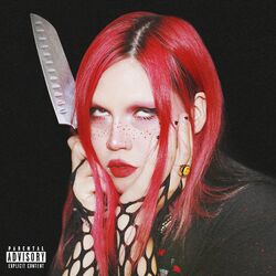 Cover of Dueles Tan Bien