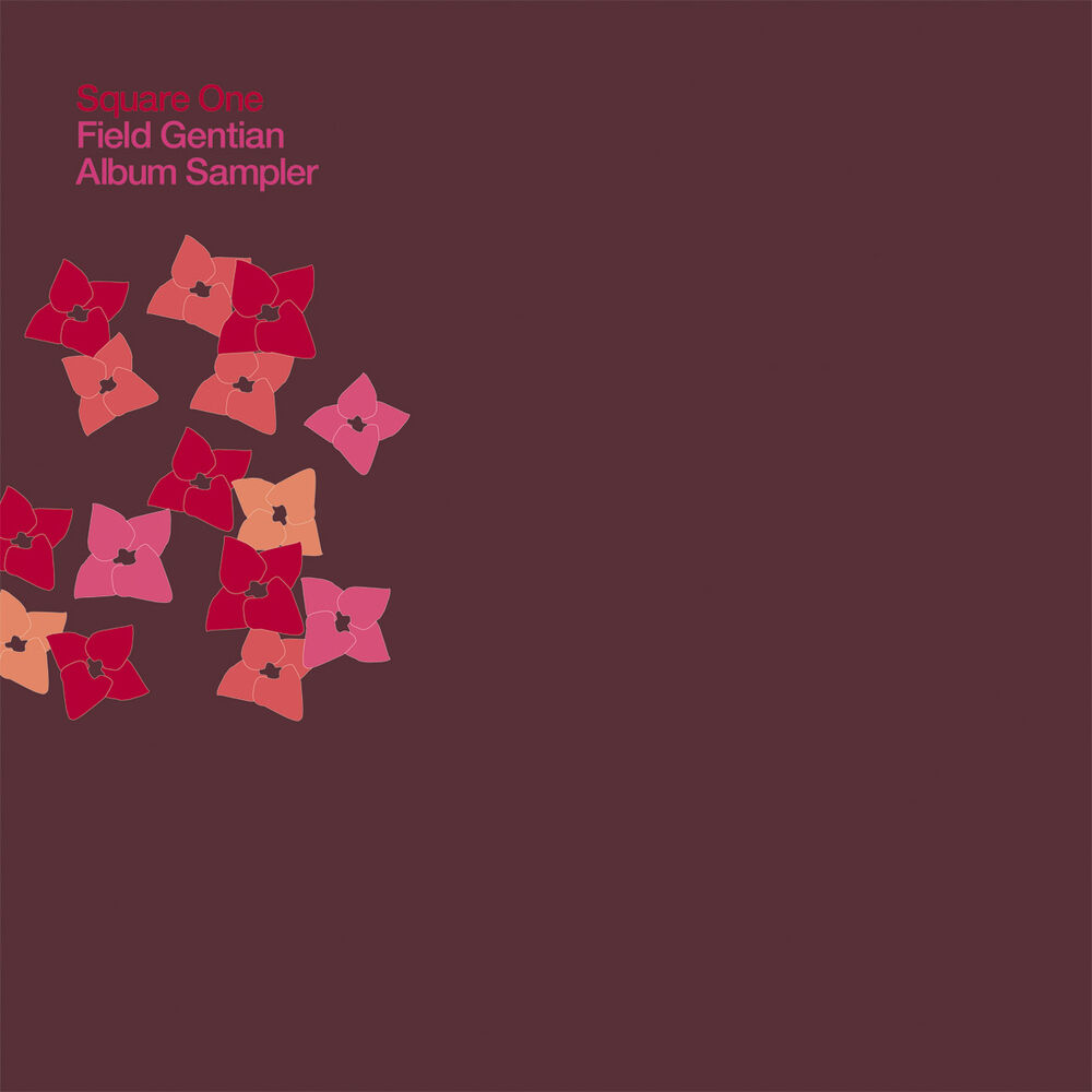 Picture of Field Gentian Album Sampler