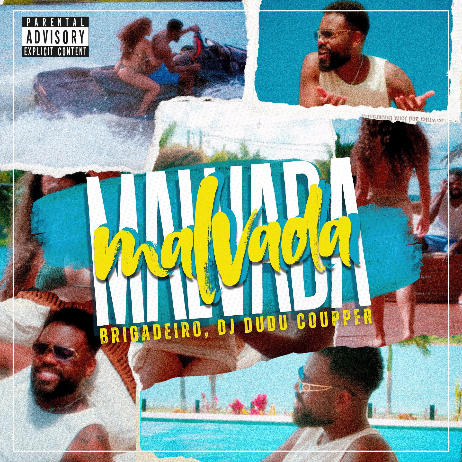 Album cover of Malvada