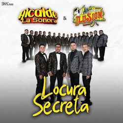 Cover of Locura Secreta