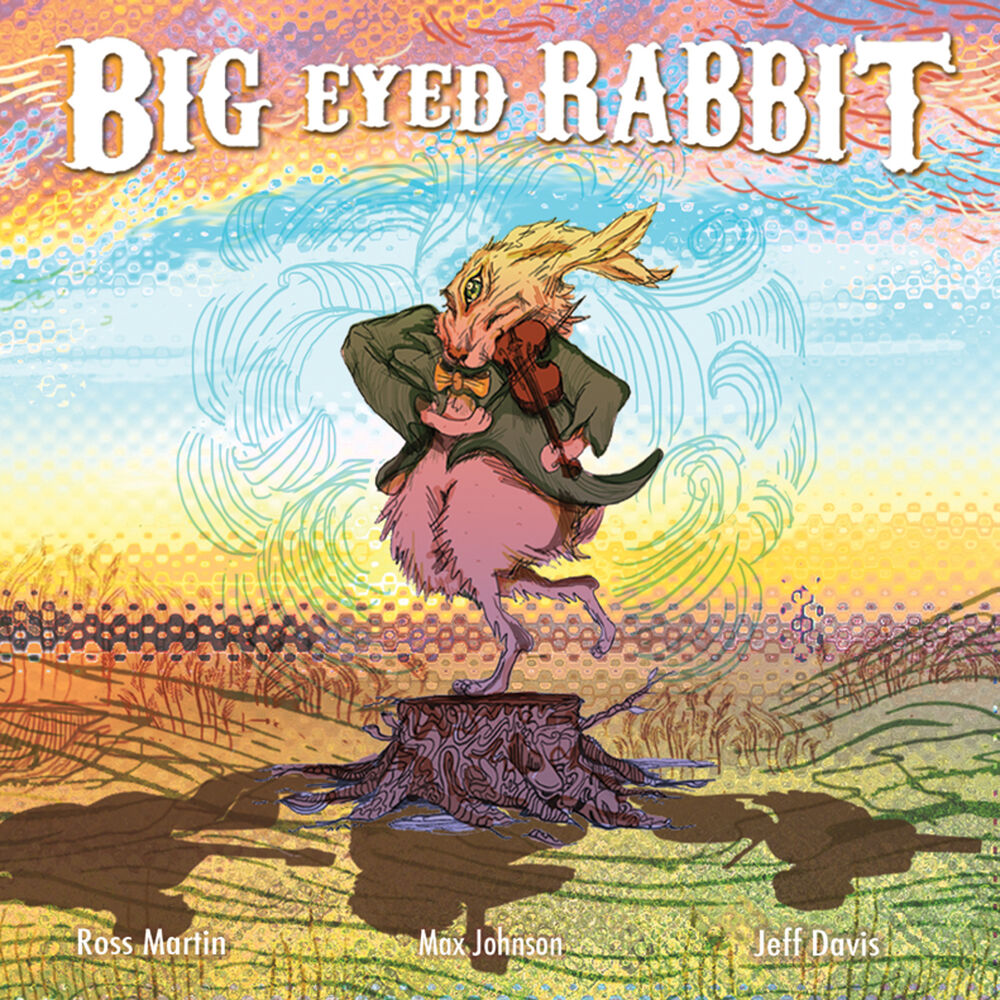 Picture of Big Eyed Rabbit