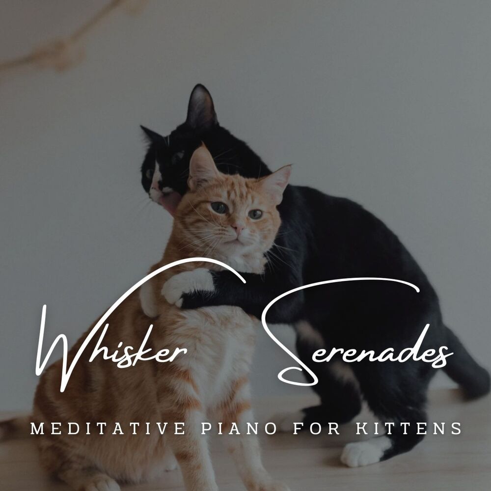 Picture of Harmonic Whisker Serenades: Meditative Piano for Kittens