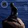 Concerto for Violin & Orchestra in D Minor by Philharmonia Slavonica album cover