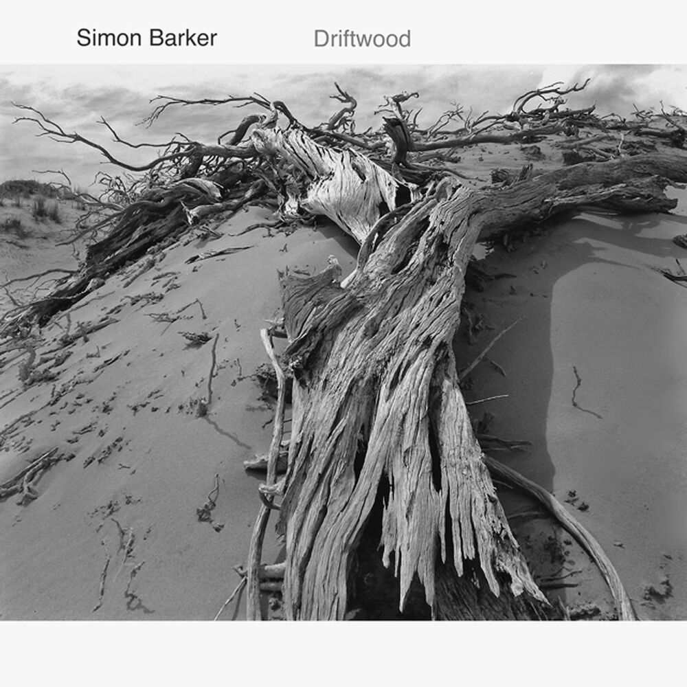 Picture of Driftwood