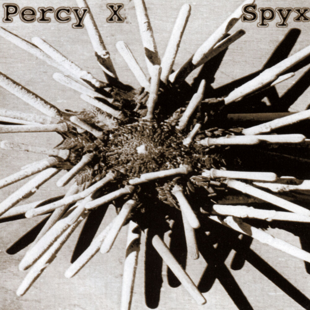 Picture of Spy X