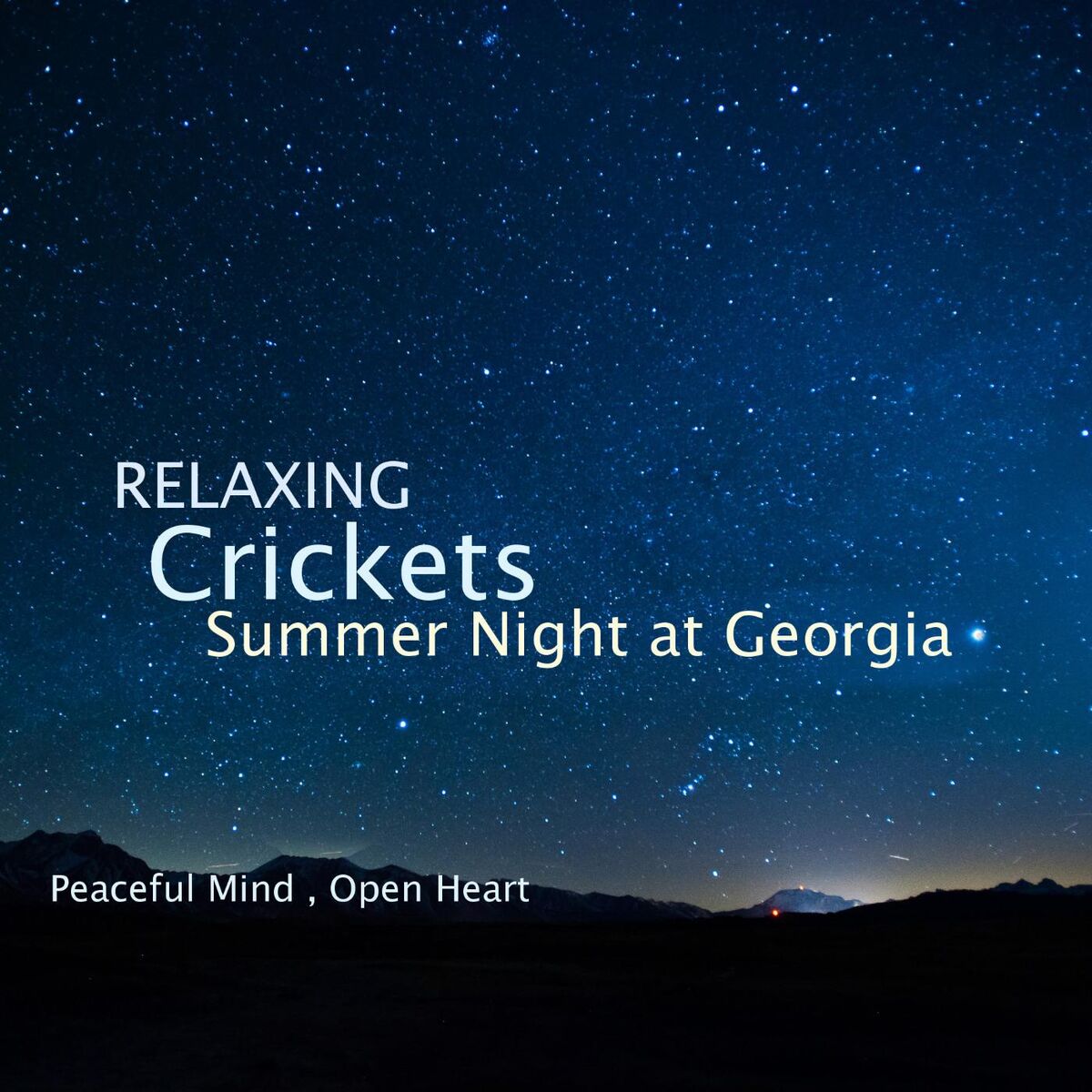 Album cover of Relaxing Crickets Summer Night at Georgia
